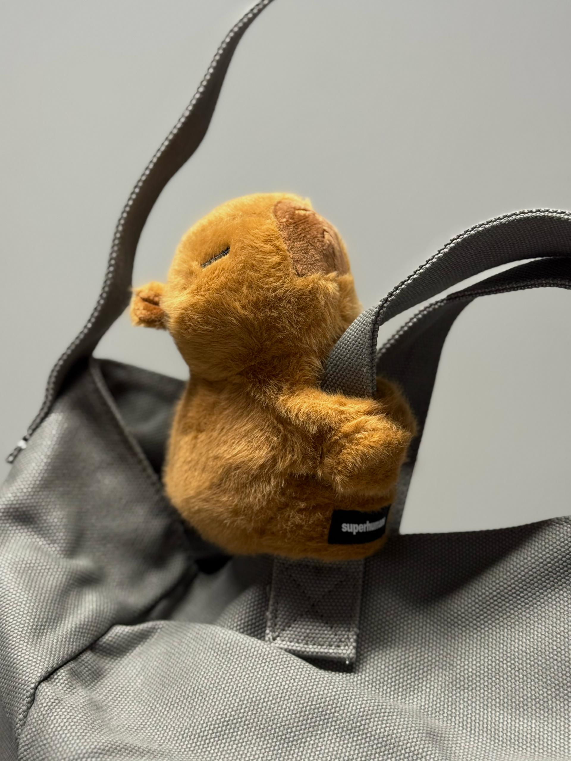 Capybara toy - Image 4